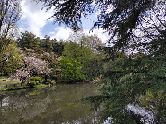 ★ドンキ♡♡ロピア雑談116★