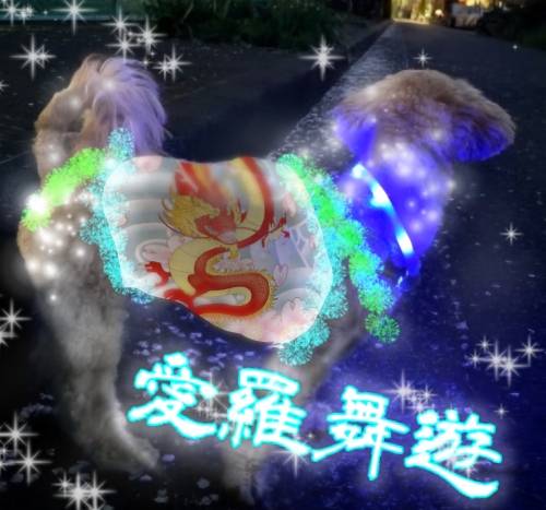 生き物ルーム74