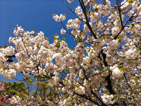 ★ドンキ♡♡ロピア雑談116★