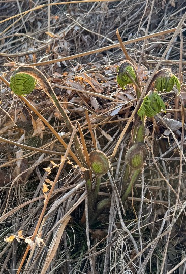 雑談お絵描き部・コラージュ部・素材提供部 No.19