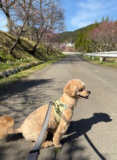 生き物ルーム74