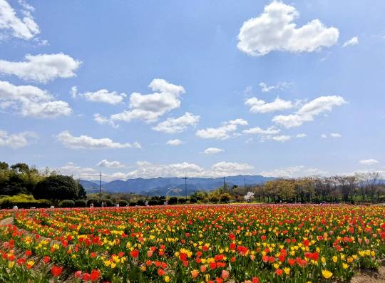 ◆15◆関西トピ