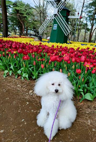 生き物ルーム74