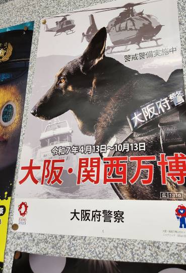 生き物ルーム74