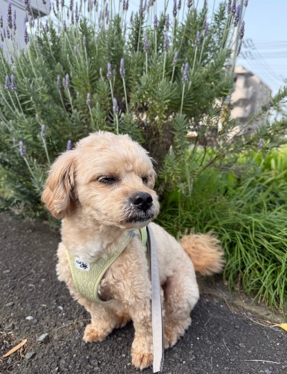 生き物ルーム74