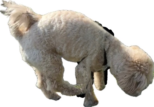 生き物ルーム74