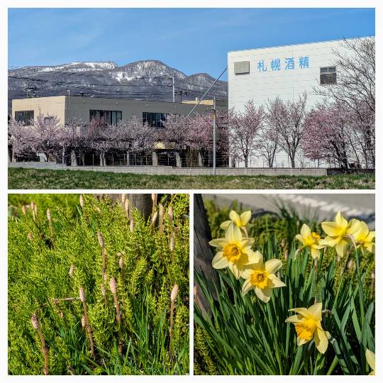 雑談お絵描き部・コラージュ部・素材提供部 No.19