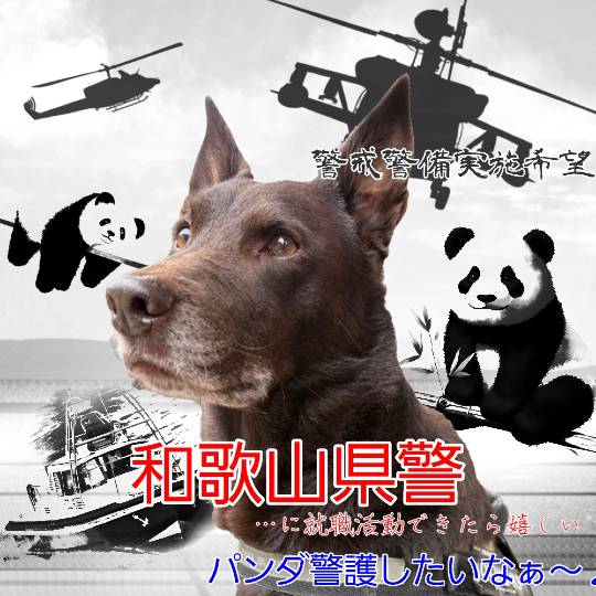 生き物ルーム74