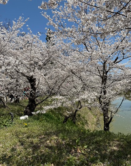 生き物ルーム74