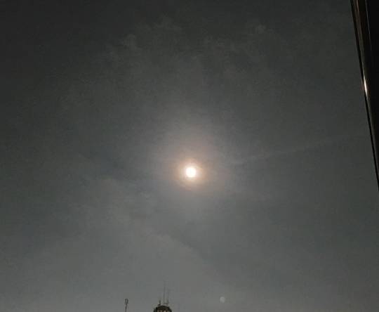 ★ドンキ♡♡ロピア雑談117★