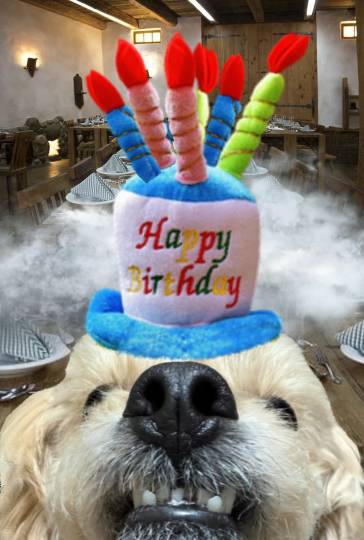 生き物ルーム74