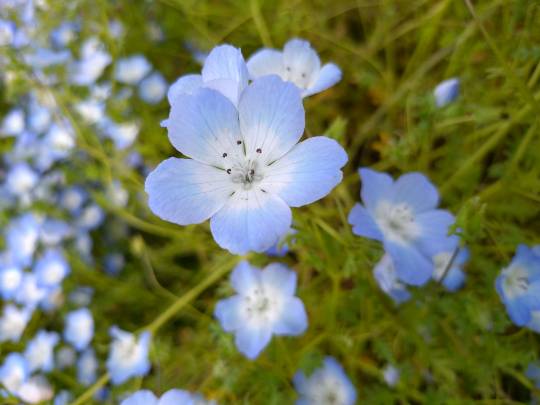 マスク同窓会詰め所兼ニューフェイス歓迎所46ヽ⁠(⁠*ﾟ⁠ｰﾟ⁠*⁠)