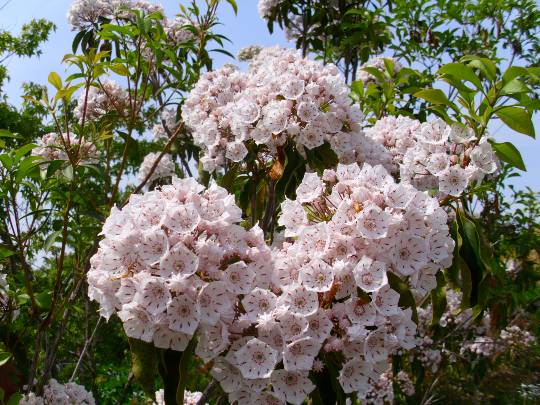 ★ドンキ♡♡ロピア雑談117★