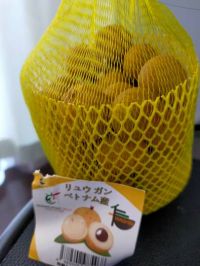 5月12日(月曜日) 　広島倉庫店｜メルマガ記載
北海道限定
サッポロク...