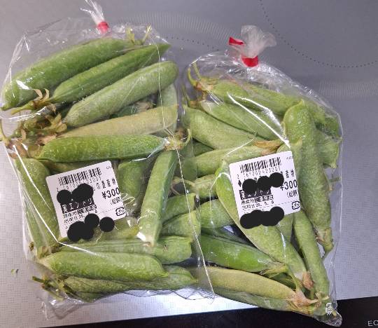 ★ドンキ♡♡ロピア雑談117★