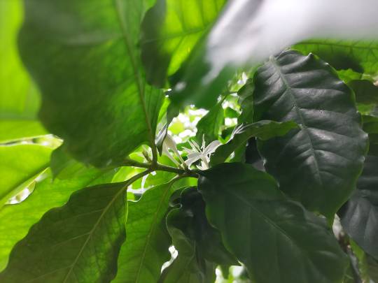 ★ドンキ♡♡ロピア雑談117★