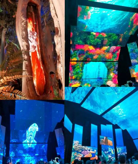 ★ドンキ♡♡ロピア雑談117★