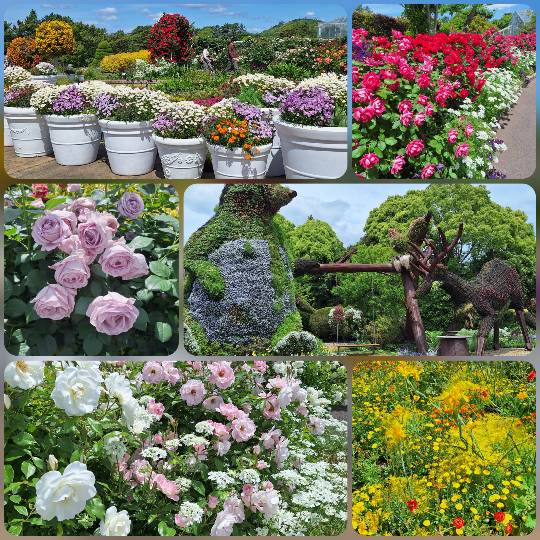 ★ドンキ♡♡ロピア雑談117★