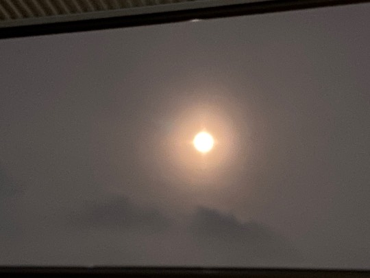 ★ドンキ♡♡ロピア雑談117★