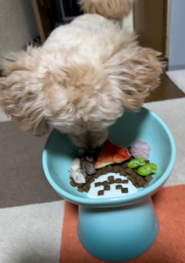 生き物ルーム74