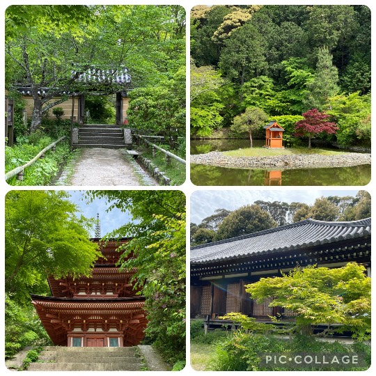 ★ドンキ♡♡ロピア雑談117★