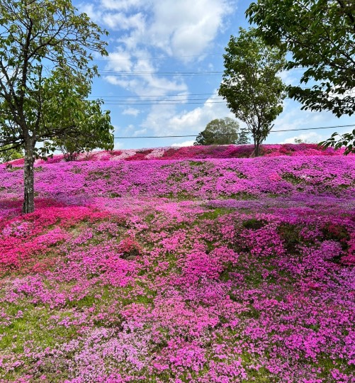 雑談お絵描き部・コラージュ部・素材提供部 No.19
