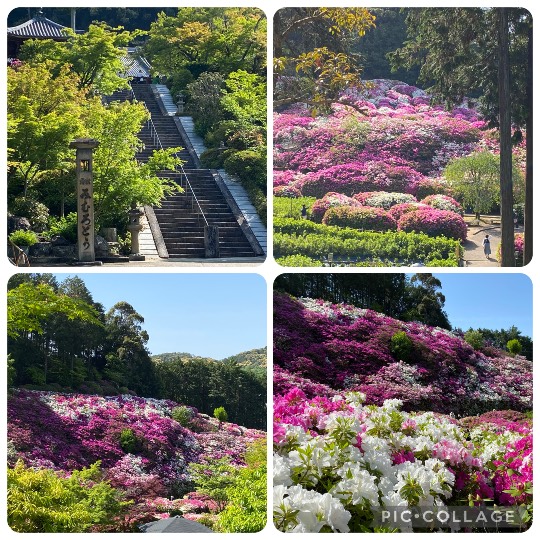 ★ドンキ♡♡ロピア雑談116★