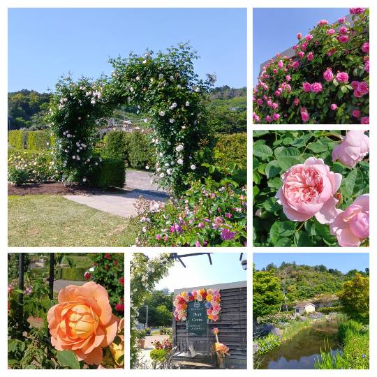 ◆15◆関西トピ