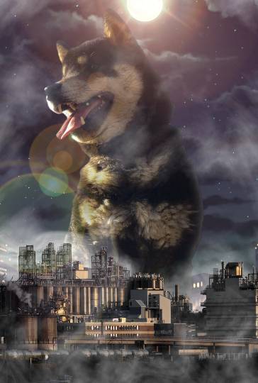 生き物ルーム74