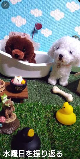 雑談お絵描き部・コラージュ部・素材提供部 No.20