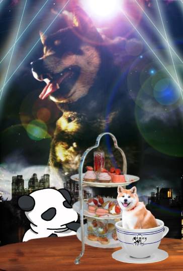 生き物ルーム74