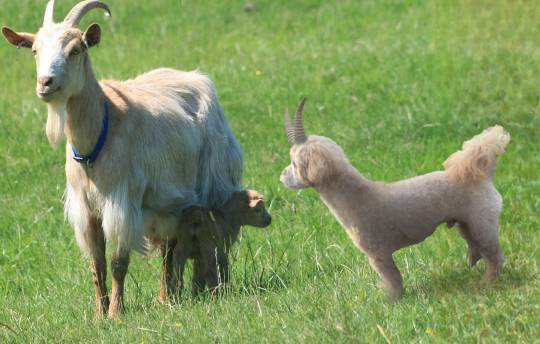 生き物ルーム74