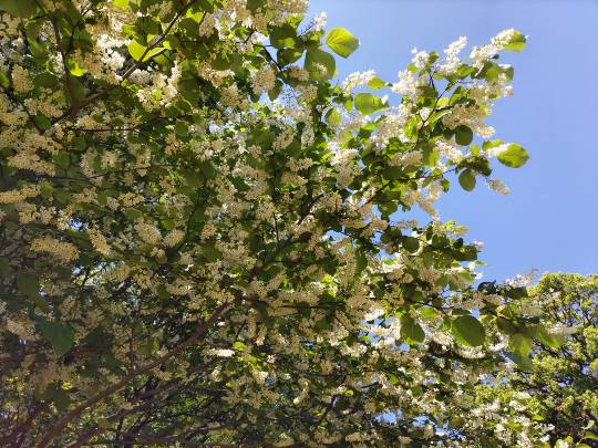 ★ドンキ♡♡ロピア雑談116★