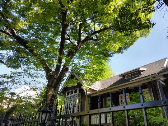 ★ドンキ♡♡ロピア雑談116★