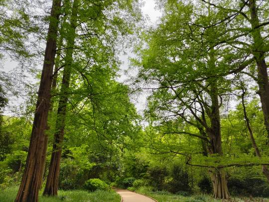 【スナックJINJIN】キッチンカー　いつか来た道　出張営業９