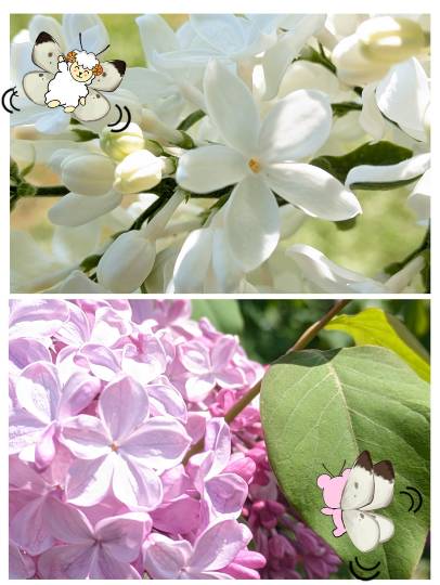 雑談お絵描き部・コラージュ部・素材提供部 No.20