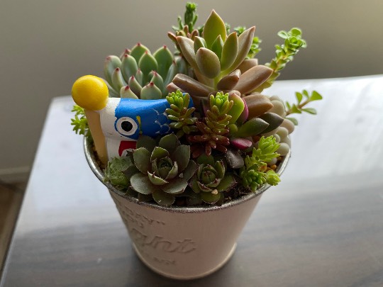 ★ドンキ♡♡ロピア雑談116★