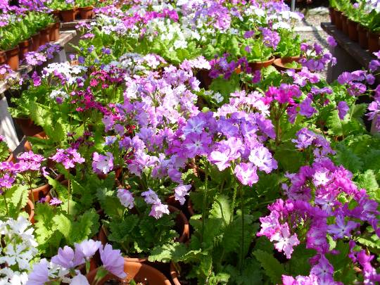 ★ドンキ♡♡ロピア雑談116★