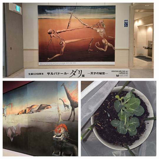 マスク同窓会詰め所兼ニューフェイス歓迎所46ヽ⁠(⁠*ﾟ⁠ｰﾟ⁠*⁠)