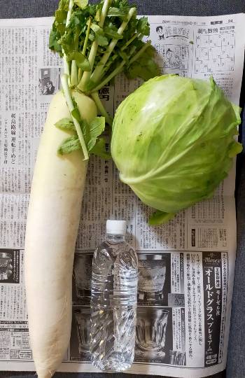 ★ドンキ♡♡ロピア雑談117★