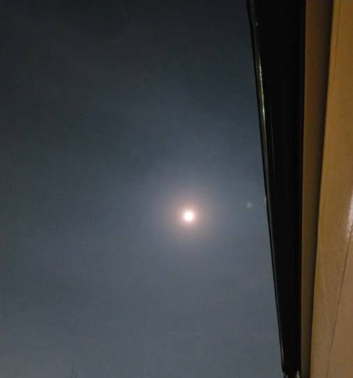 ★ドンキ♡♡ロピア雑談117★