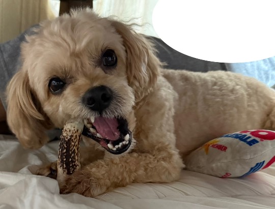 生き物ルーム74