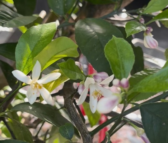 ★ドンキ♡♡ロピア雑談116★