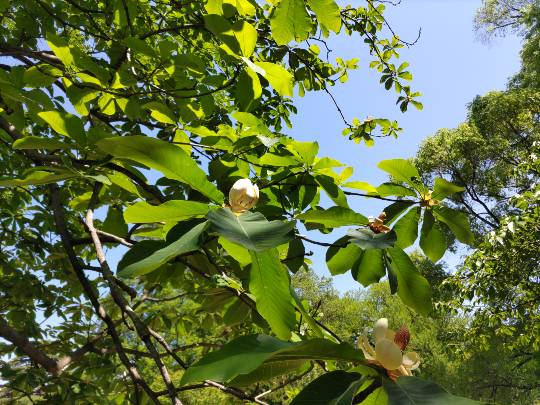 ★ドンキ♡♡ロピア雑談116★