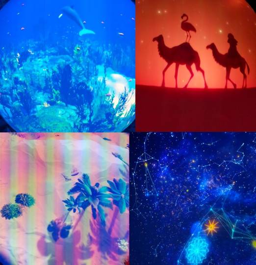 ★ドンキ♡♡ロピア雑談117★