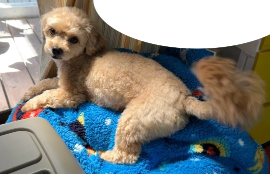 生き物ルーム74