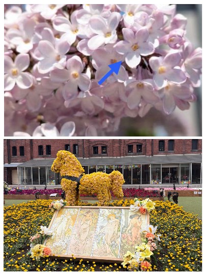 雑談お絵描き部・コラージュ部・素材提供部 No.20