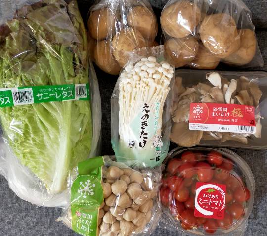 ★ドンキ♡♡ロピア雑談117★