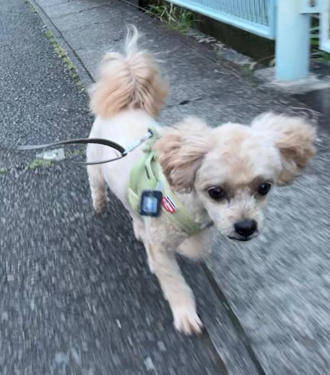 生き物ルーム74