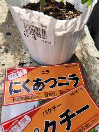 生き物ルーム74